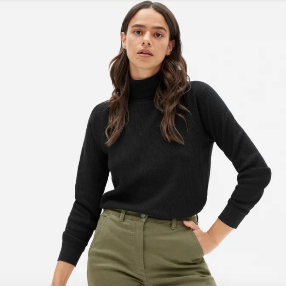 Everlane Organic Cotton Turtleneck Waffle Tee
